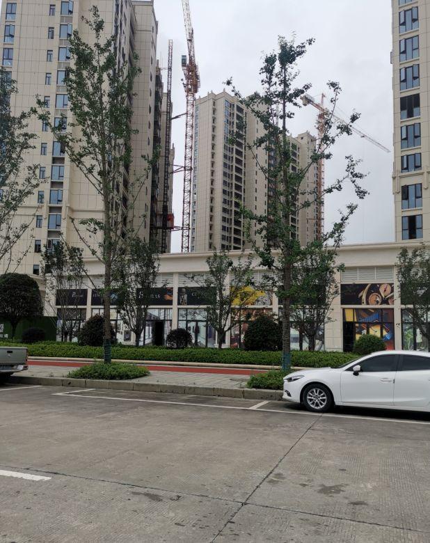 永州房价动态详解，全面指南与步骤解析