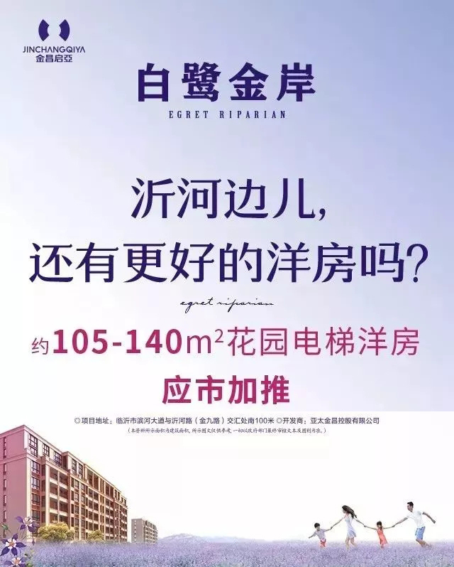 白鹭金岸最新动态，变化中的学习之旅，自信与成就感的源泉揭秘