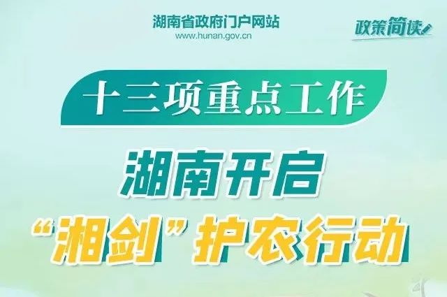 舒城帅旺最新职位招聘及应聘指南