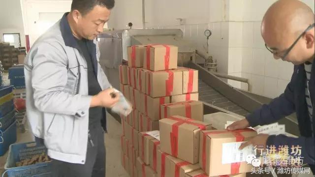 安丘大葱价格最新动态报告